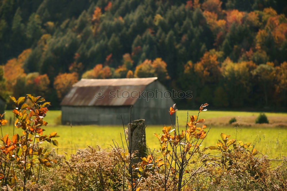 Similar – Image, Stock Photo A field in rural landscape