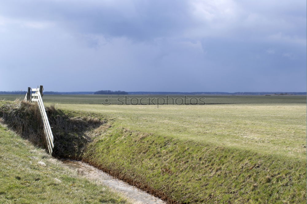 Similar – Image, Stock Photo Where’s the beach? Helmsand.