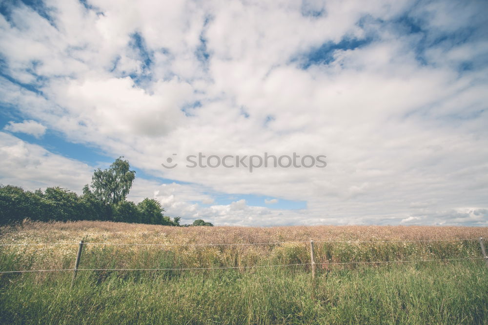 Similar – Image, Stock Photo vault Sky Clouds Grass