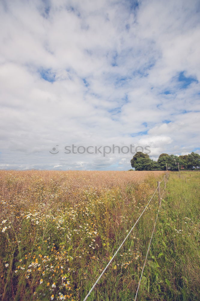 Similar – Foto Bild eigenbedarf Natur