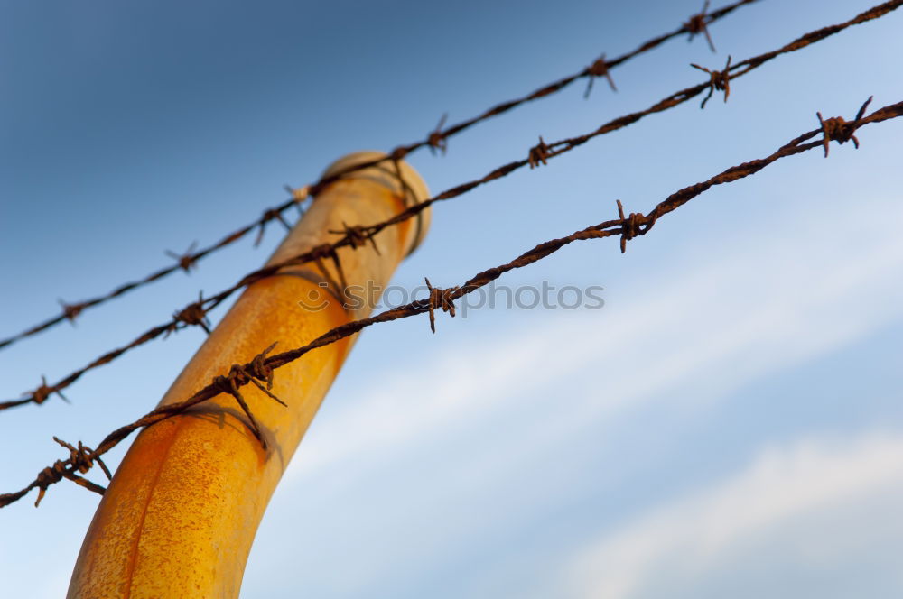 Similar – Image, Stock Photo Fence with a barbed wire