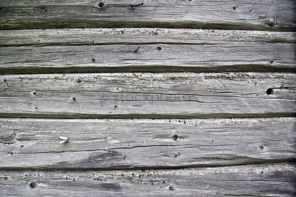 Similar – Image, Stock Photo frozen wood Environment