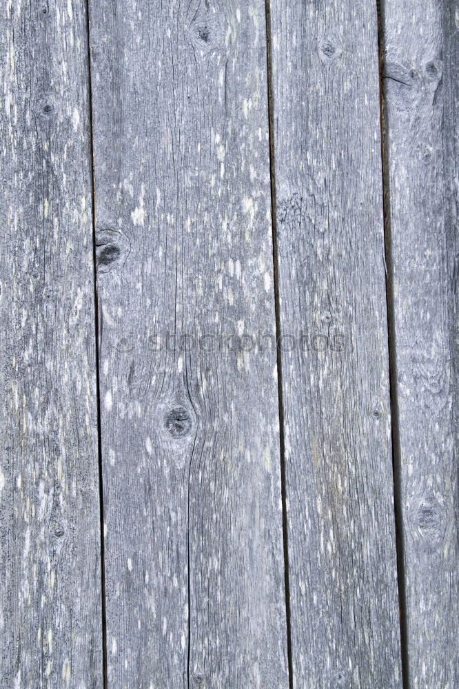 Similar – Image, Stock Photo T white blue Wood Line