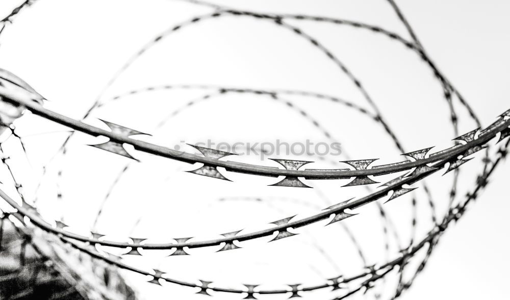 Similar – Prison security fence. Border fence. Barbed wire security fence. Razor wire jail fence. Boundary security wall. Prison for arrest of criminals or terrorists. Private area. Military zone concept.