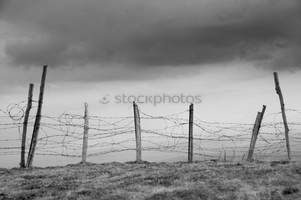 Similar – Image, Stock Photo Forgotten World Liberate