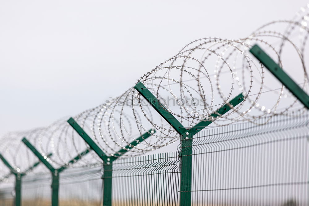 Fencing of sensitive sites with barbed wire. Barbed wire. Restriction of freedom. Prison fence. Forbidden territory. The concept of security. The concept of the ban.