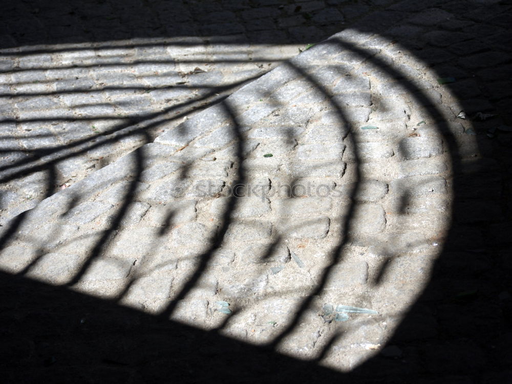 Similar – Image, Stock Photo barbed wire fence