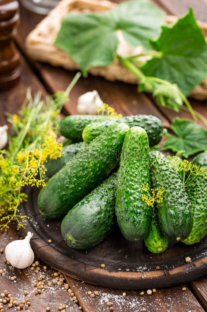 Similar – Image, Stock Photo Preparing ingredients for pickling cucumbers