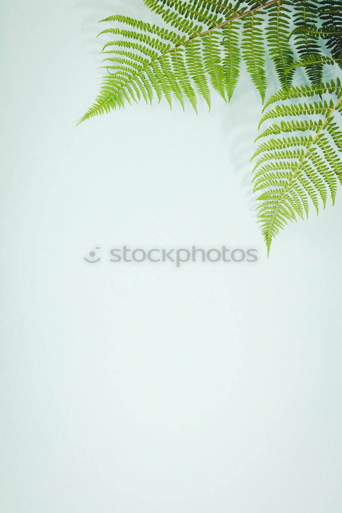 Similar – Image, Stock Photo Vacation. Environment