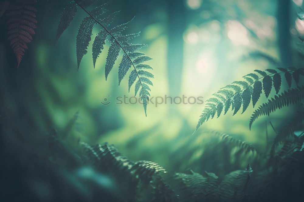 Similar – Image, Stock Photo leaf canopy Lifestyle