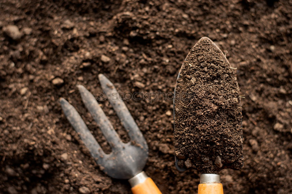 Similar – Image, Stock Photo In the garden Garden