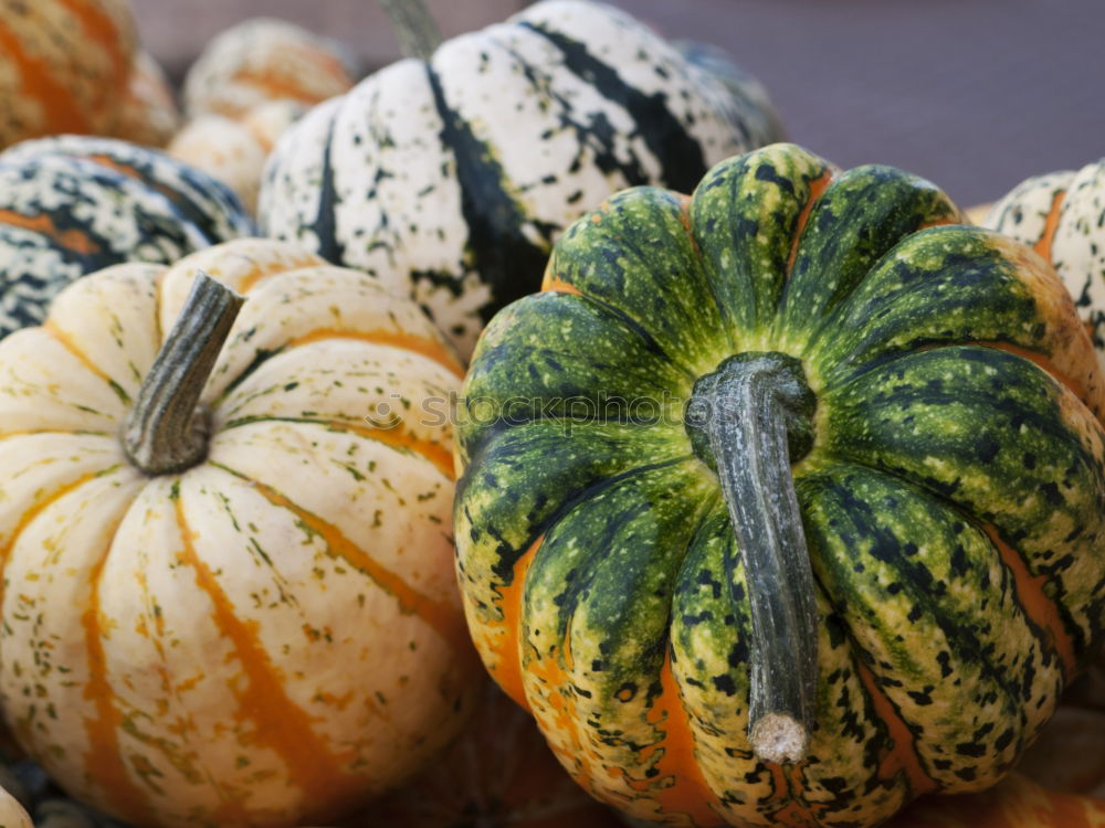 Similar – Image, Stock Photo pumpkin basket Food Fruit