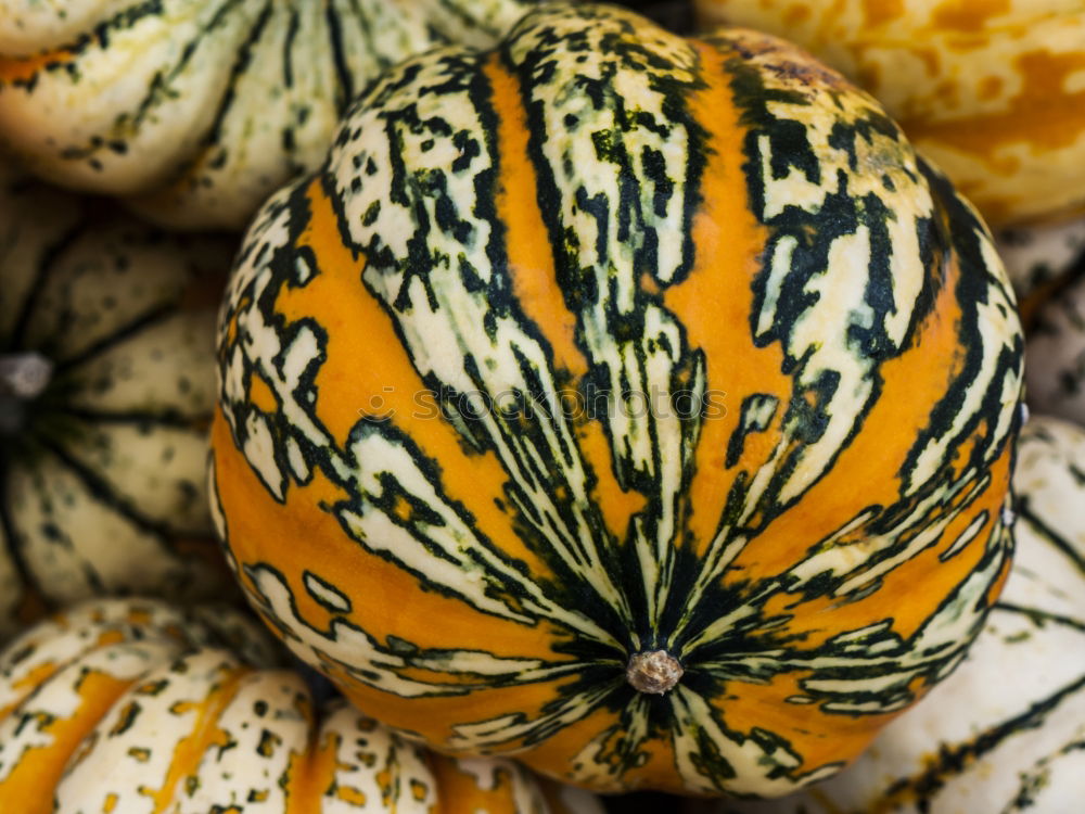 Similar – Image, Stock Photo pumpkin basket Food Fruit