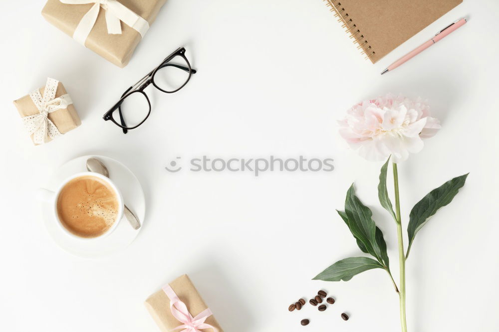 Eyeglasses and green palm leaves