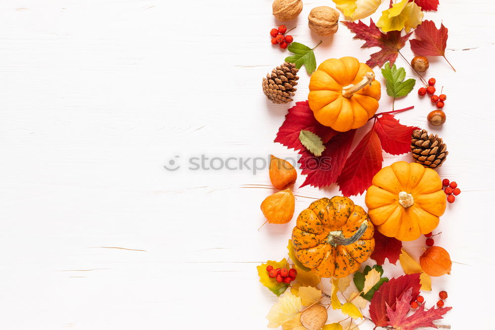 Similar – Image, Stock Photo Female hands holding twigs with autumn leaves