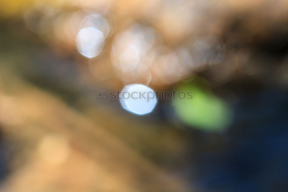 Similar – Blurred vegetation through a rainy bus window in Hong Kong