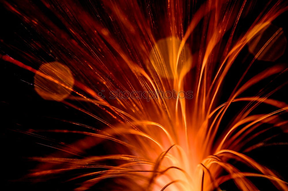 Similar – Image, Stock Photo firecracker Burn Explode