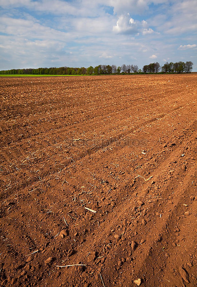 Similar – Image, Stock Photo Tractor 2 Field Farmer