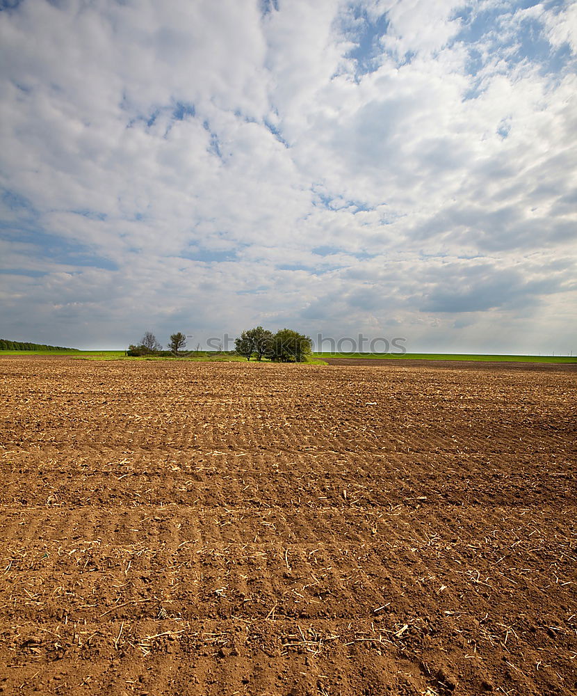 Image, Stock Photo make an impression Field