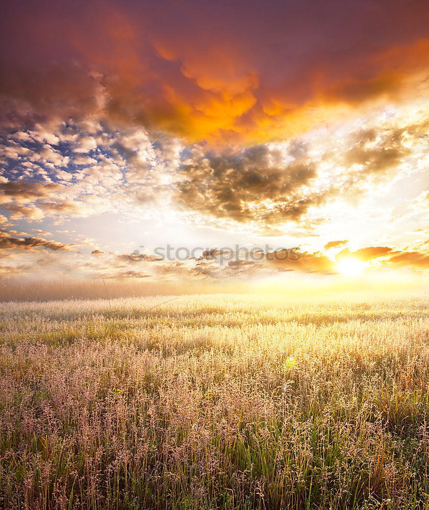 Similar – Foto Bild goldener Sonnenuntergang