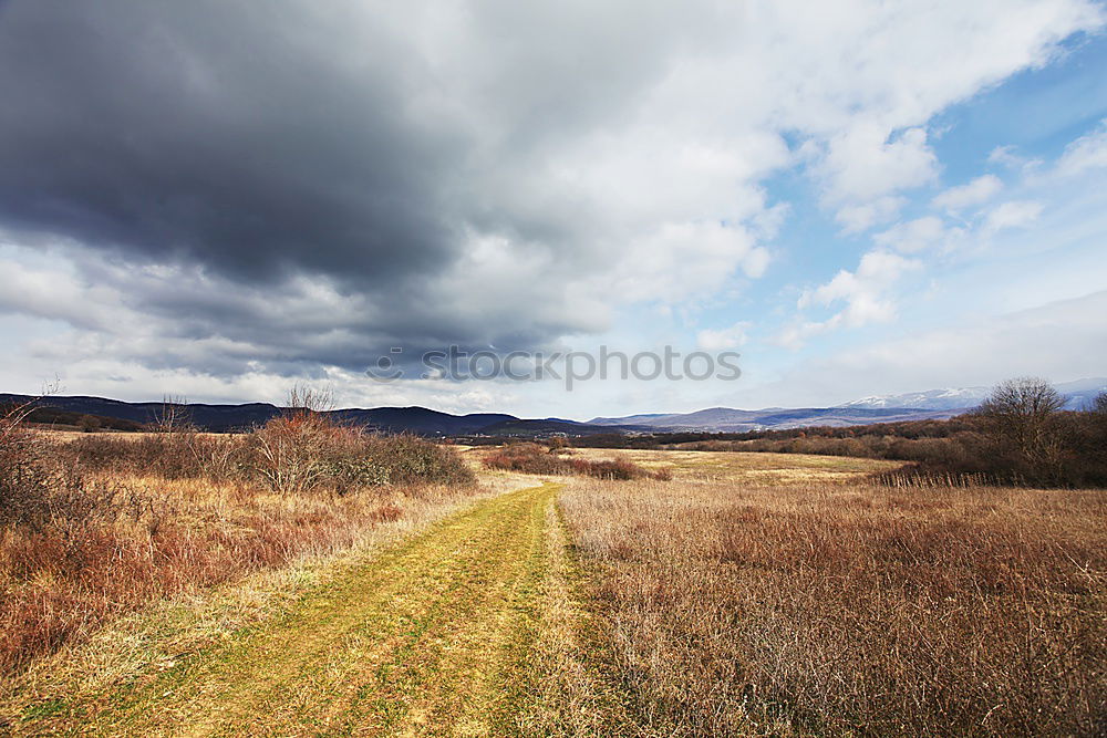 Similar – Image, Stock Photo ford Adventure