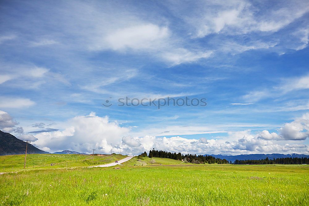 Similar – Image, Stock Photo End of Street Grass Clouds