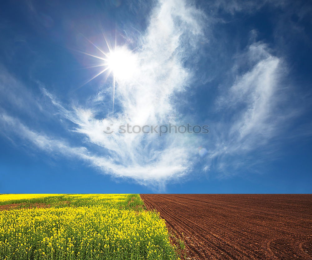 Similar – Image, Stock Photo towards the sun