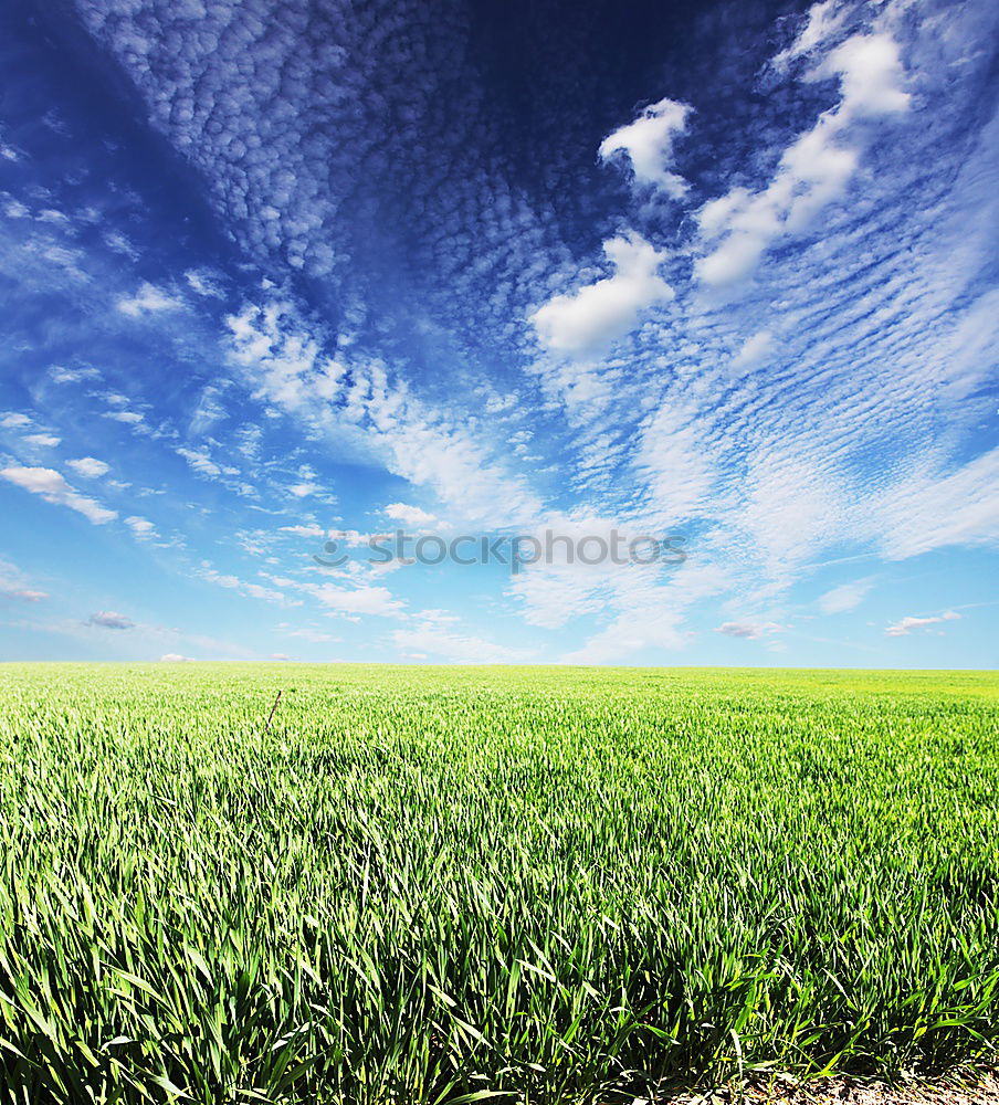 Similar – cornucopia Nature Sky