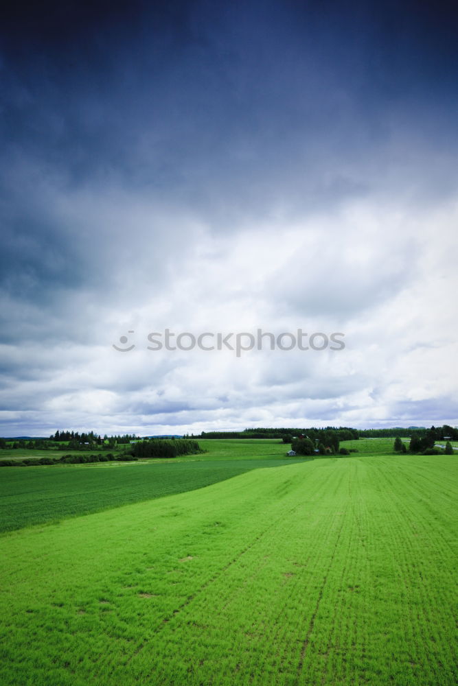 Similar – Image, Stock Photo Tyre tracks in spring