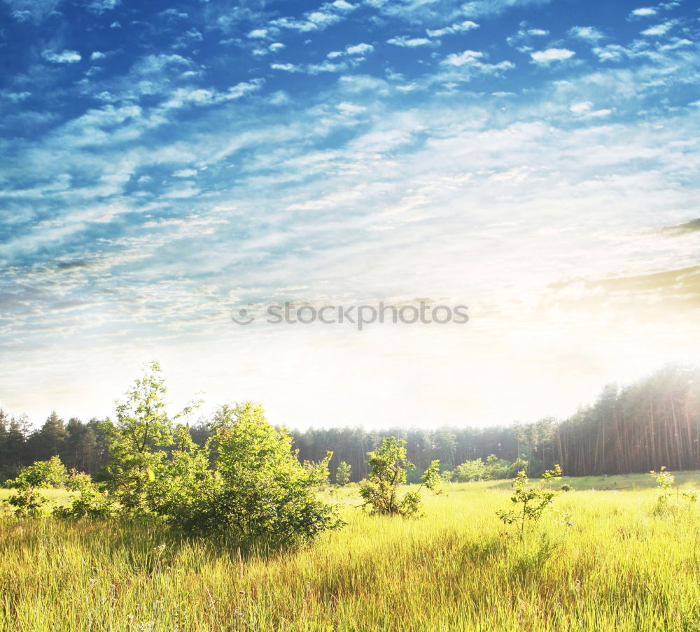 Similar – Image, Stock Photo Beautiful morning