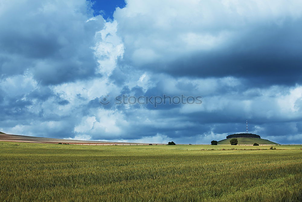 Similar – Wolken-Reich Ernte Weizen