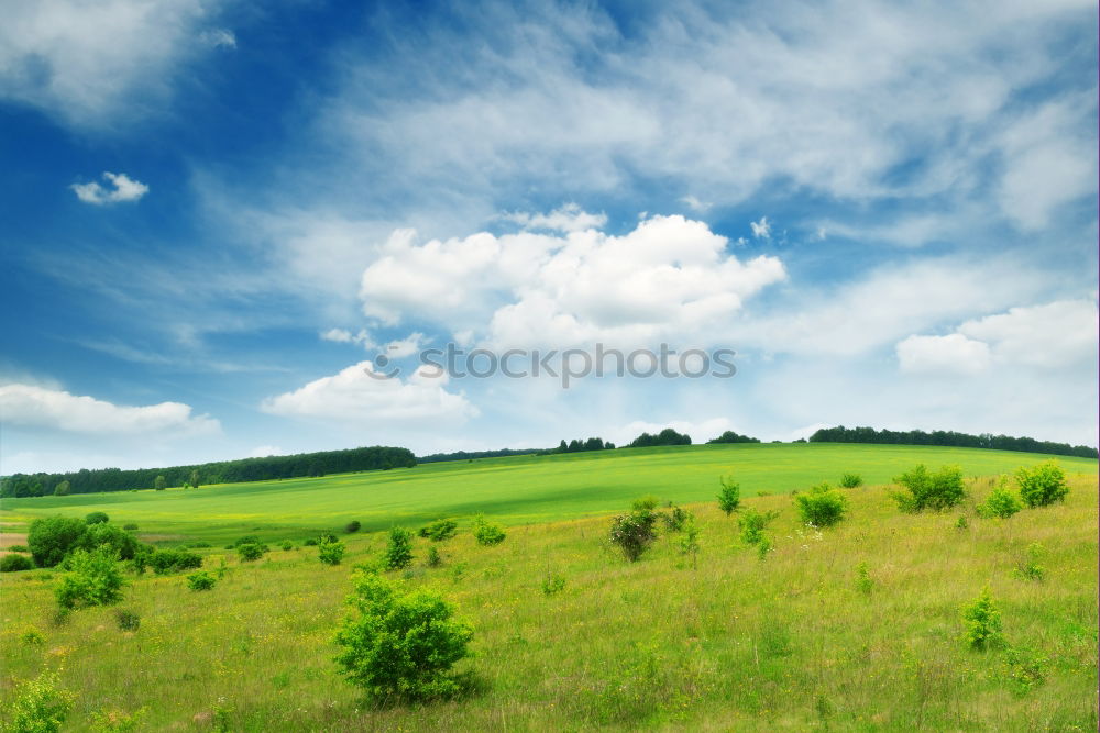 Similar – Image, Stock Photo Golf course photo shooting