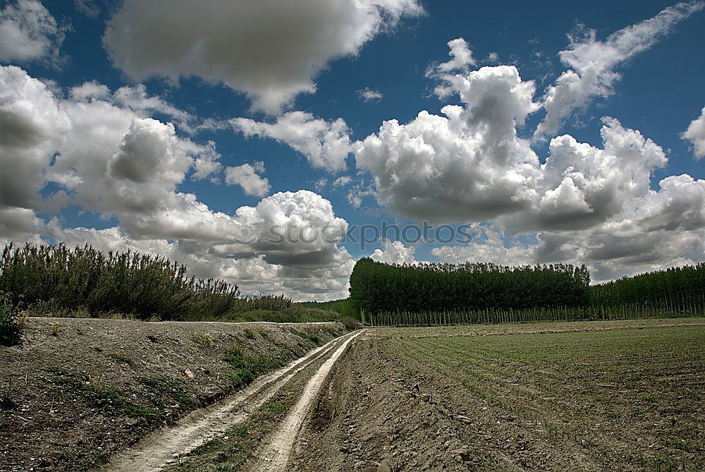 Similar – Image, Stock Photo watershed White Think