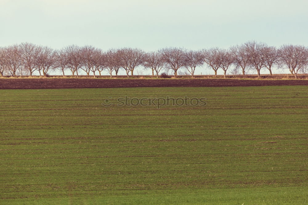 Similar – Tempelhof Field Berlin