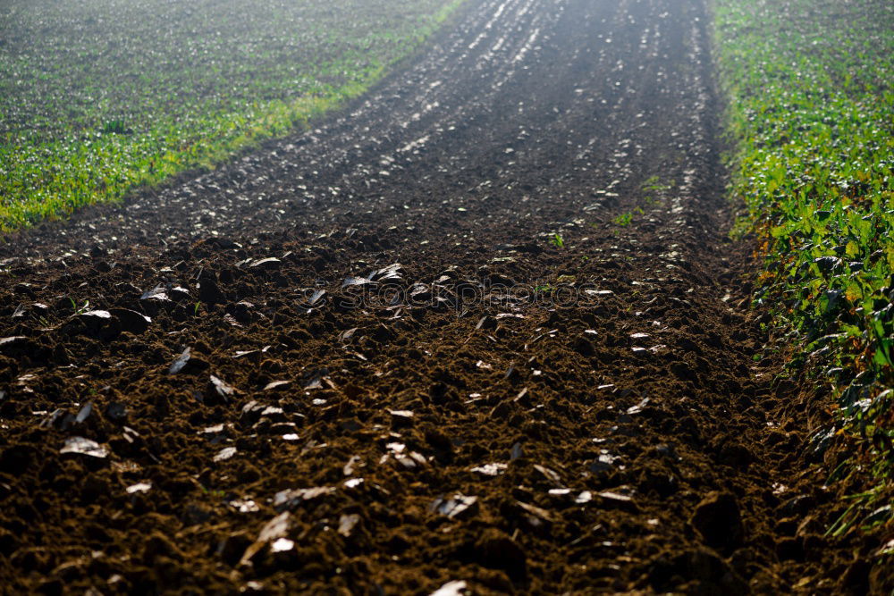 Similar – farmhand Field Loosen Plow