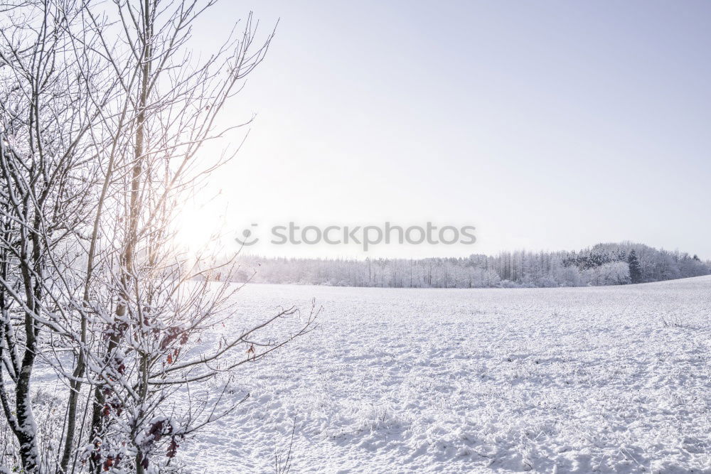 Similar – Image, Stock Photo winter landscape