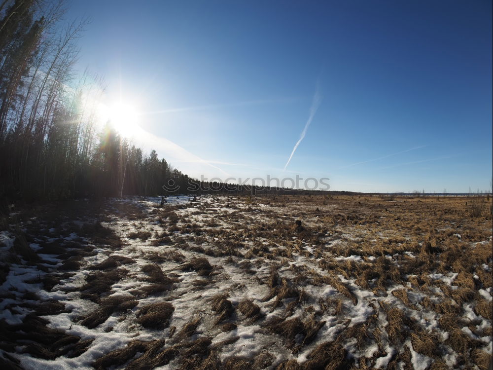 Similar – dry float Nature Landscape