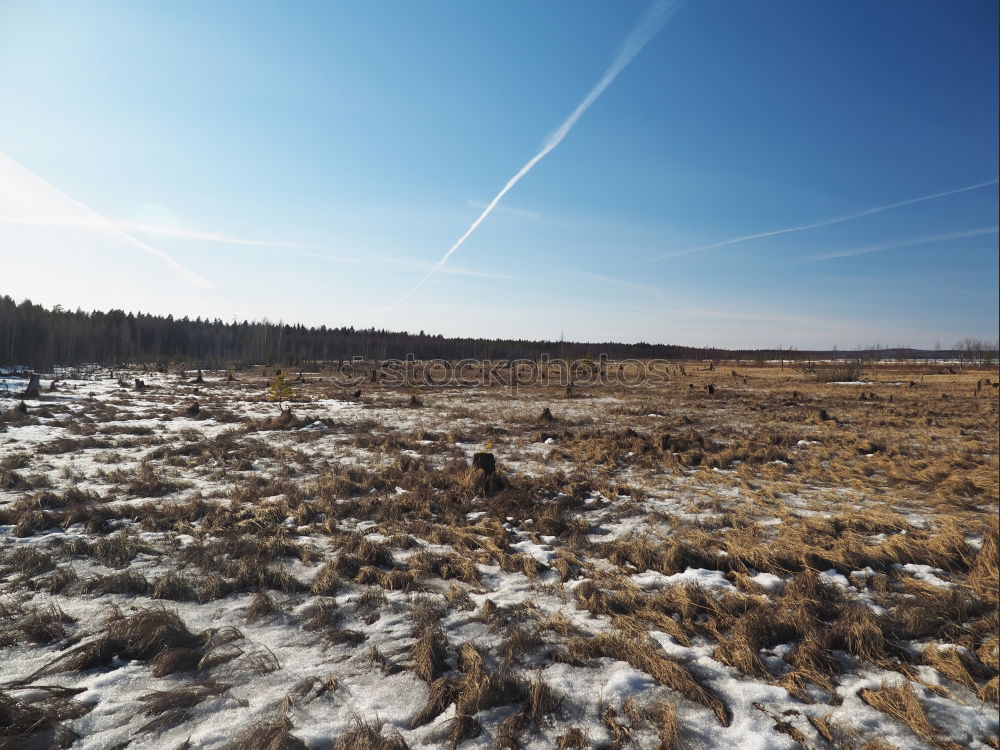 Similar – Foto Bild Hier entsteht demnächst Ihr megacooles Parkhaus