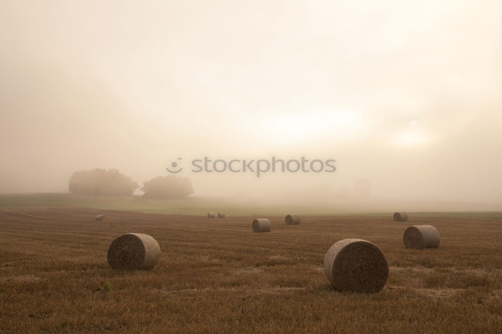 Similar – Ernte 2005 Stroh Feld