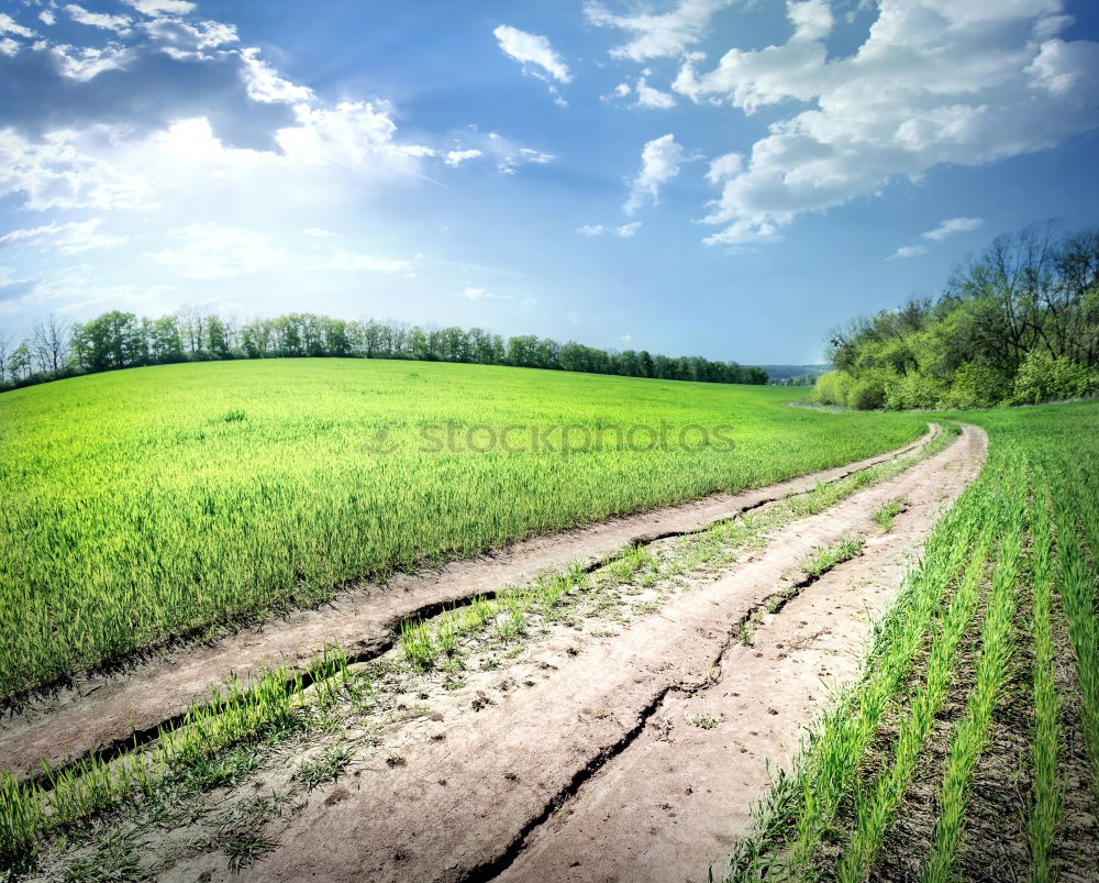 Similar – Image, Stock Photo harvest time Harmonious