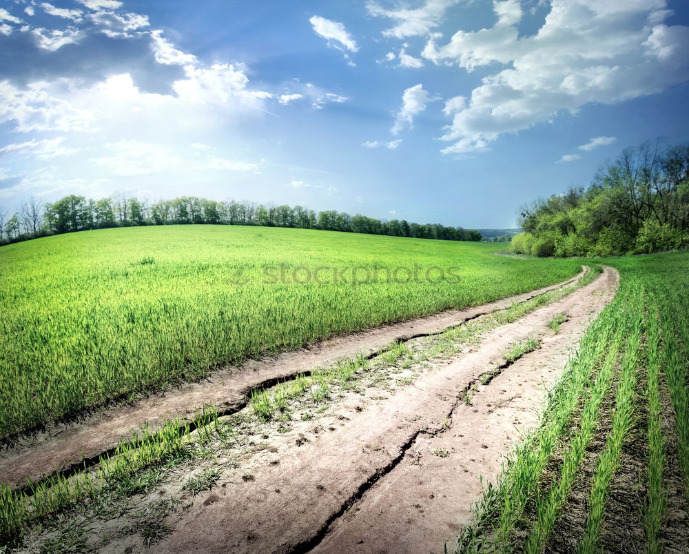 Similar – Image, Stock Photo harvest time Harmonious