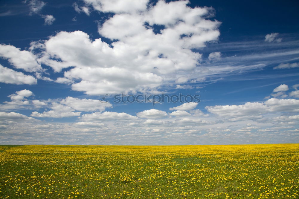 Similar – Image, Stock Photo Early rape Energy industry