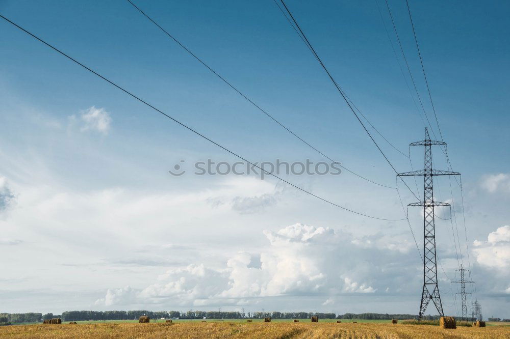 Similar – Foto Bild Raps unter Strom Rapsfeld