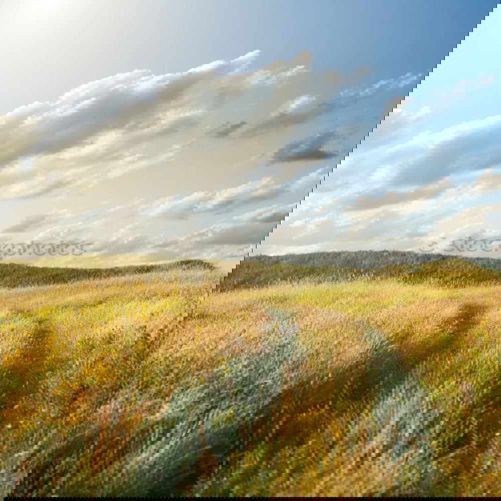 Similar – Image, Stock Photo Walberla