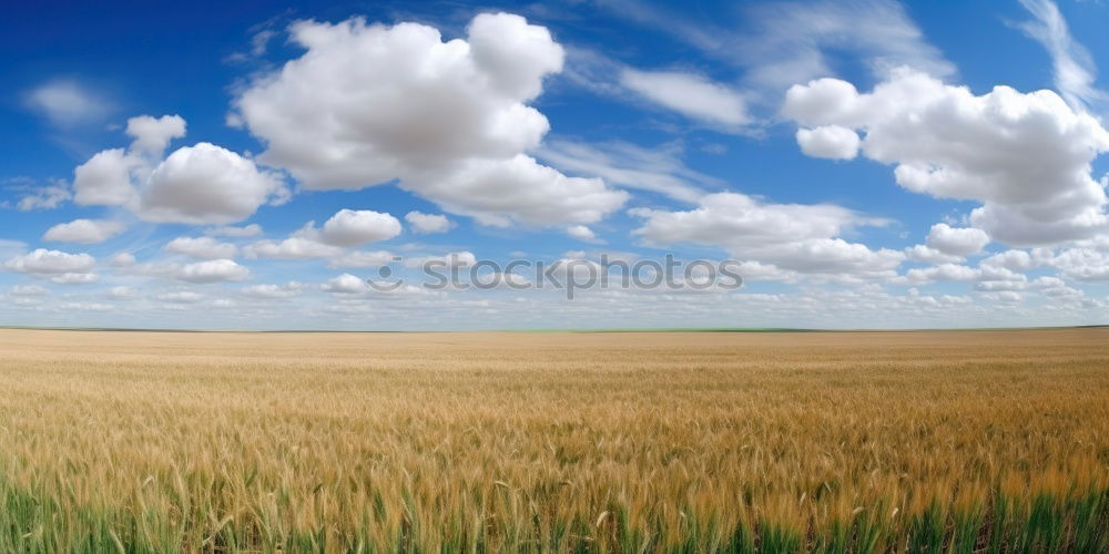 Similar – Weiß-blau-grün-gelb Umwelt