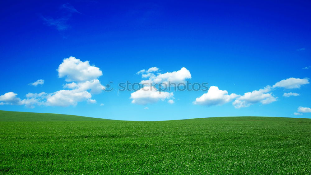 Similar – large green meadow_03