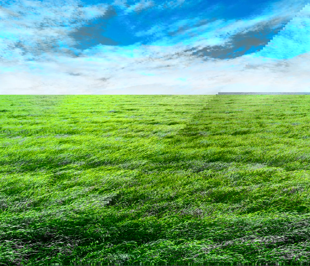Similar – Foto Bild …energieschatten Feld