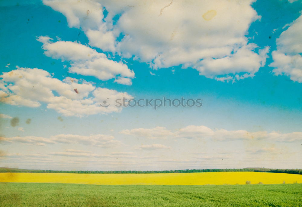 Similar – Image, Stock Photo Pointed cone heap of the former copper mining in the Mansfeld district behind a blooming rape field