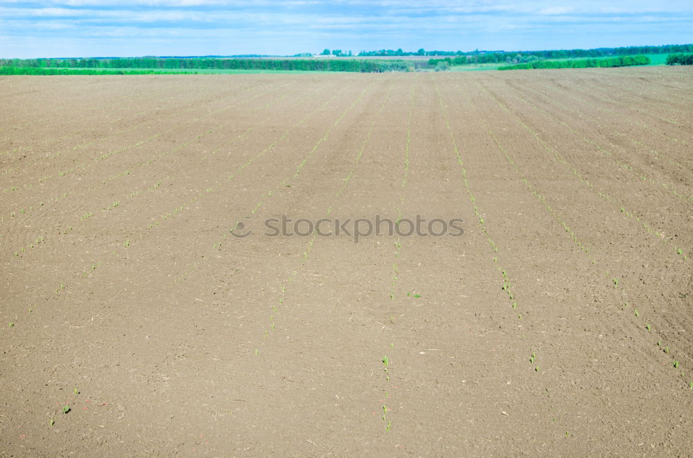 Similar – Image, Stock Photo dirt road Footpath Grass