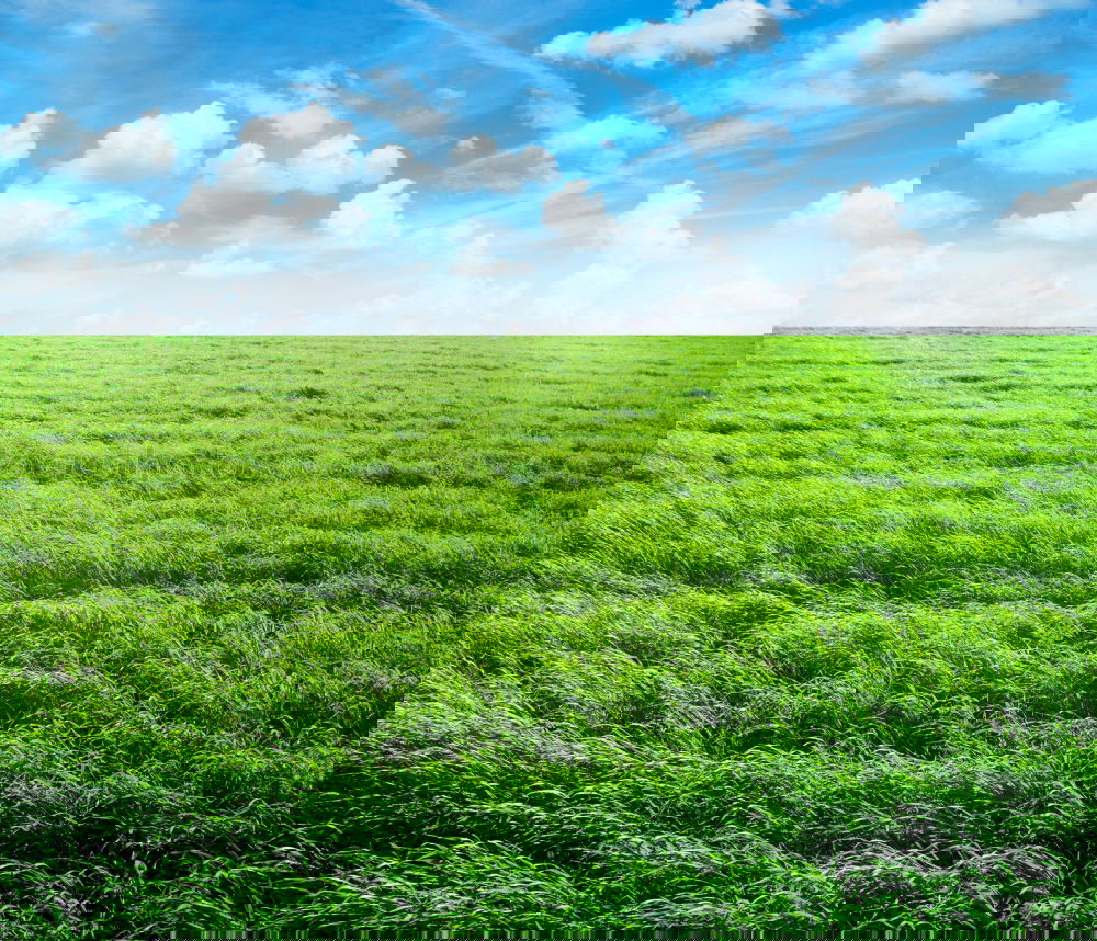 Foto Bild …energieschatten Feld